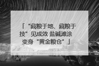 “藏粮于地、藏粮于技”见成效 盐碱滩涂变身“黄金粮仓”