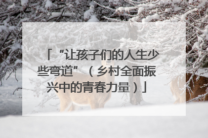“让孩子们的人生少些弯道”（乡村全面振兴中的青春力量）