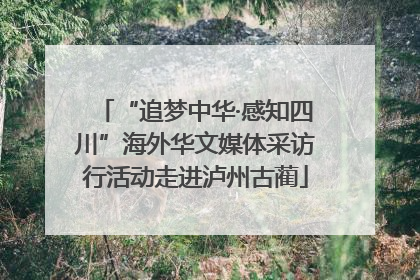 “追梦中华·感知四川”海外华文媒体采访行活动走进泸州古蔺