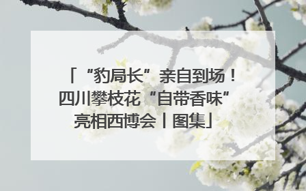 “豹局长”亲自到场！四川攀枝花“自带香味”亮相西博会丨图集