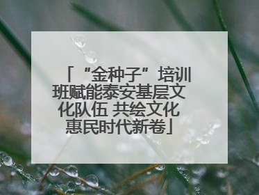 “金种子”培训班赋能泰安基层文化队伍 共绘文化惠民时代新卷