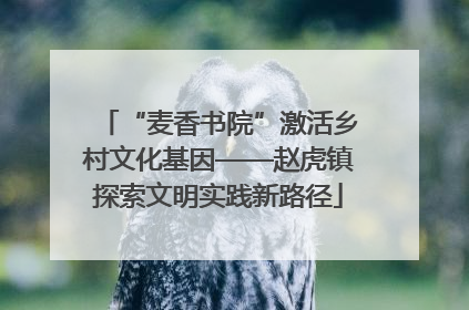 “麦香书院”激活乡村文化基因——赵虎镇探索文明实践新路径