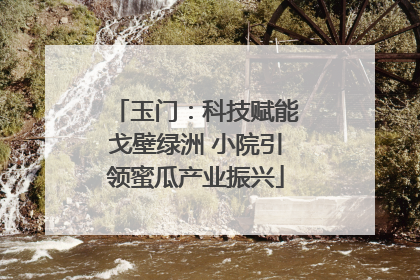 玉门：科技赋能戈壁绿洲 小院引领蜜瓜产业振兴