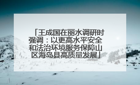 王成国在丽水调研时强调：以更高水平安全和法治环境服务保障山区海岛县高质量发展