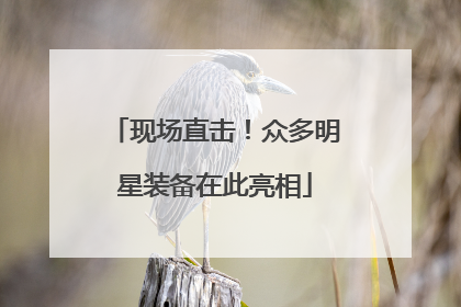 现场直击！众多明星装备在此亮相