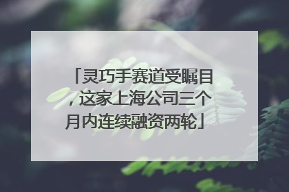 灵巧手赛道受瞩目，这家上海公司三个月内连续融资两轮