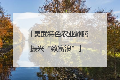 灵武特色农业翻腾振兴“致富浪”
