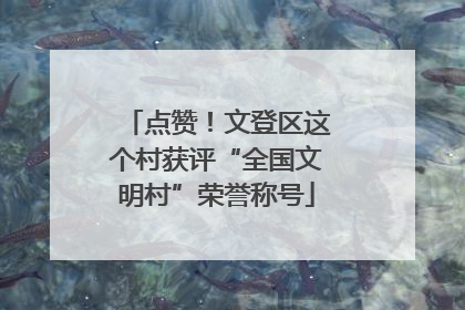 点赞！文登区这个村获评“全国文明村”荣誉称号