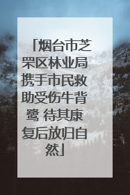 烟台市芝罘区林业局携手市民救助受伤牛背鹭 待其康复后放归自然