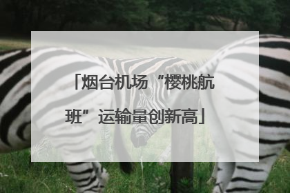 烟台机场“樱桃航班”运输量创新高