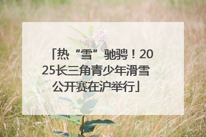 热“雪”驰骋！2025长三角青少年滑雪公开赛在沪举行