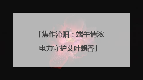 焦作沁阳：端午情浓 电力守护艾叶飘香