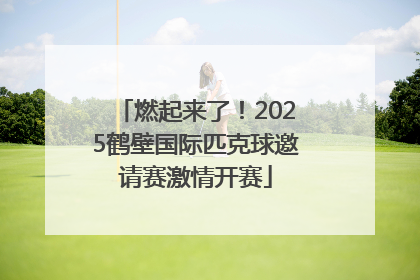 燃起来了！2025鹤壁国际匹克球邀请赛激情开赛