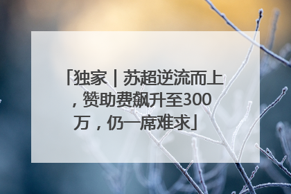 独家｜苏超逆流而上，赞助费飙升至300万，仍一席难求