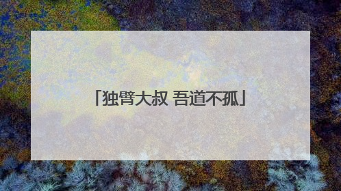 独臂大叔 吾道不孤