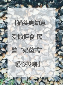 猫头鹰幼崽受惊拒食 民警“奶爸式”暖心投喂