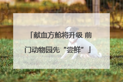 献血方舱将升级 前门动物园先“尝鲜”