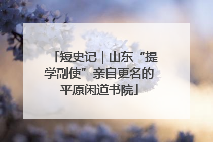 短史记｜山东“提学副使”亲自更名的平原闲道书院
