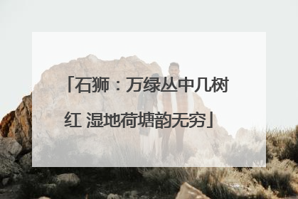 石狮：万绿丛中几树红 湿地荷塘韵无穷