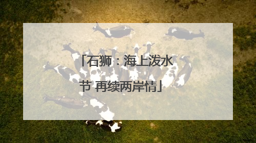 石狮：海上泼水节 再续两岸情
