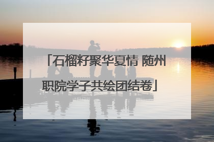 石榴籽聚华夏情 随州职院学子共绘团结卷