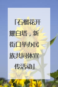 石榴花开耀白塔，新街口举办民族共同体宣传活动