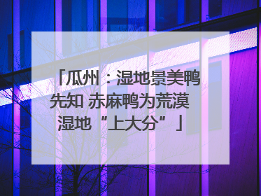 瓜州：湿地景美鸭先知 赤麻鸭为荒漠湿地“上大分”