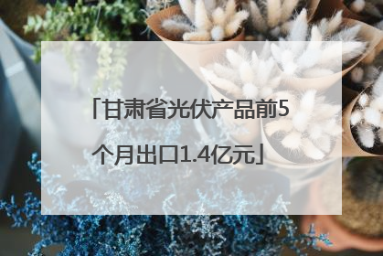 甘肃省光伏产品前5个月出口1.4亿元