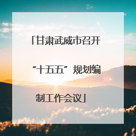甘肃武威市召开“十五五”规划编制工作会议