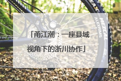 甬江潮：一座县域视角下的浙川协作