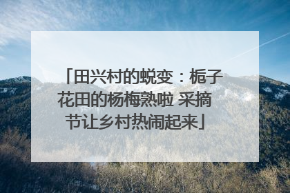 田兴村的蜕变：栀子花田的杨梅熟啦 采摘节让乡村热闹起来