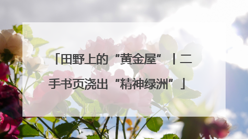 田野上的“黄金屋”丨二手书页浇出“精神绿洲”