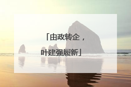 由政转企，叶建强履新