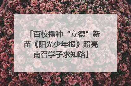 百校播种“立德”新苗《阳光少年报》照亮南召学子求知路