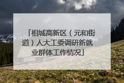 相城高新区（元和街道）人大工委调研新就业群体工作情况
