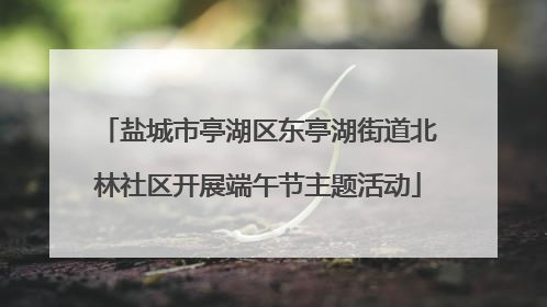 盐城市亭湖区东亭湖街道北林社区开展端午节主题活动