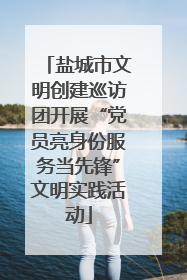 盐城市文明创建巡访团开展“党员亮身份服务当先锋”文明实践活动