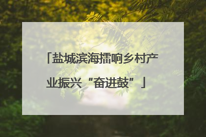 盐城滨海擂响乡村产业振兴“奋进鼓”