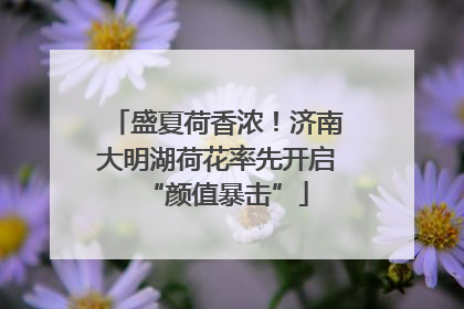 盛夏荷香浓！济南大明湖荷花率先开启“颜值暴击”