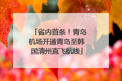 省内首条！青岛机场开通青岛至韩国清州直飞航线