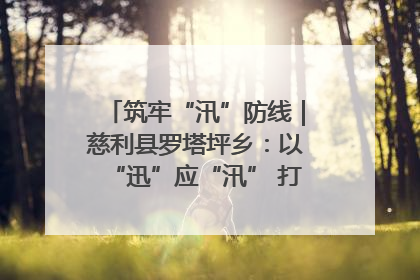 筑牢“汛”防线｜慈利县罗塔坪乡：以“迅”应“汛” 打赢暴雨防御战