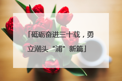 砥砺奋进三十载，勇立潮头“浦”新篇