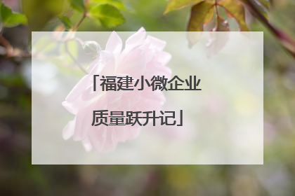 福建小微企业质量跃升记