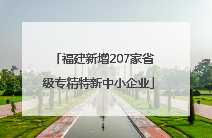 福建新增207家省级专精特新中小企业