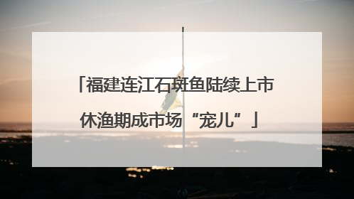 福建连江石斑鱼陆续上市 休渔期成市场“宠儿”