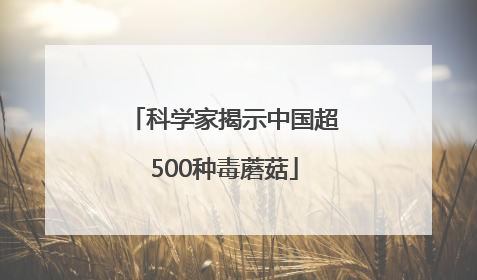 科学家揭示中国超500种毒蘑菇