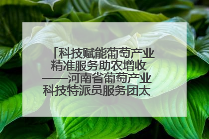 科技赋能葡萄产业 精准服务助农增收——河南省葡萄产业科技特派员服务团太康县科技服务纪实