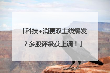 科技+消费双主线爆发？多股评级获上调！