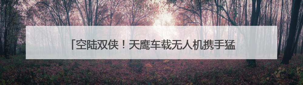 空陆双侠！天鹰车载无人机携手猛士M817登陆粤港澳大湾区车展