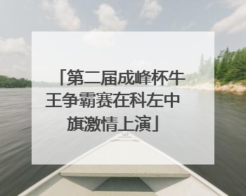 第二届成峰杯牛王争霸赛在科左中旗激情上演